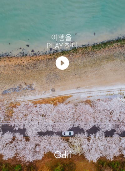 오디 사용 예시 이미지